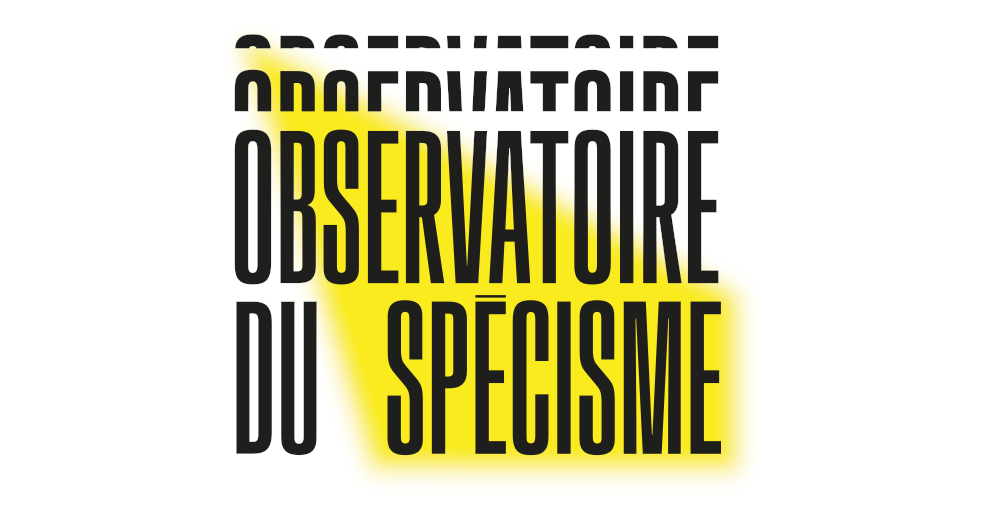 L'Observatoire des Slogans Publicitaires 2024